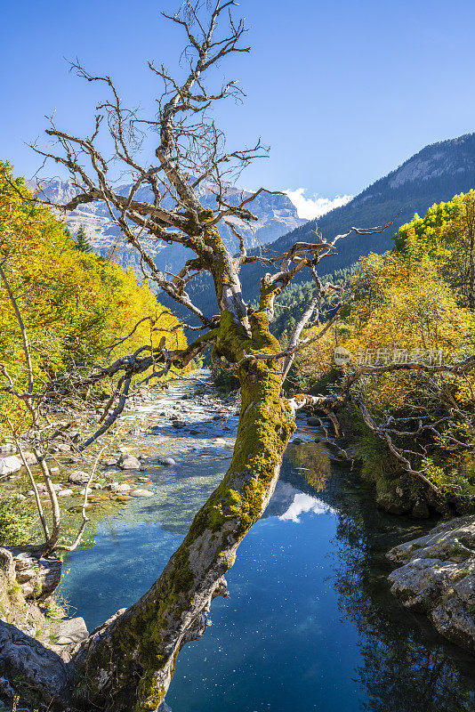 奥古拉村的里约热内卢Ara river Puente de Oncins